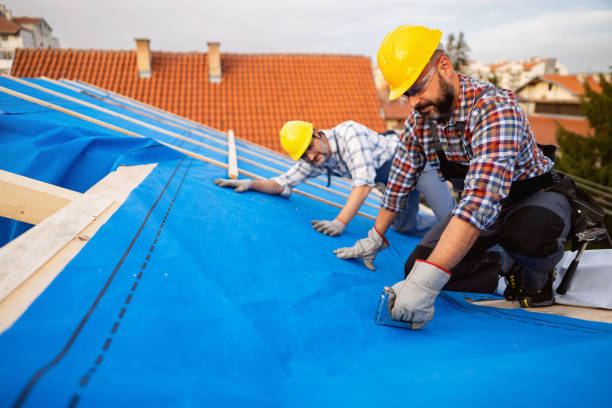 Best Roof Waterproofing Services  in Forest, VA