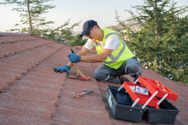 Best Flat Roof Repair Services  in Forest, VA