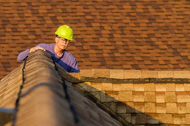 Best Roof Repair Services  in Forest, VA