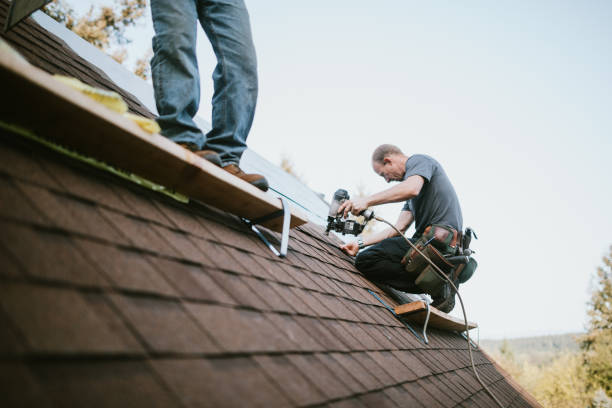 Best Roof Inspection Near Me  in Forest, VA